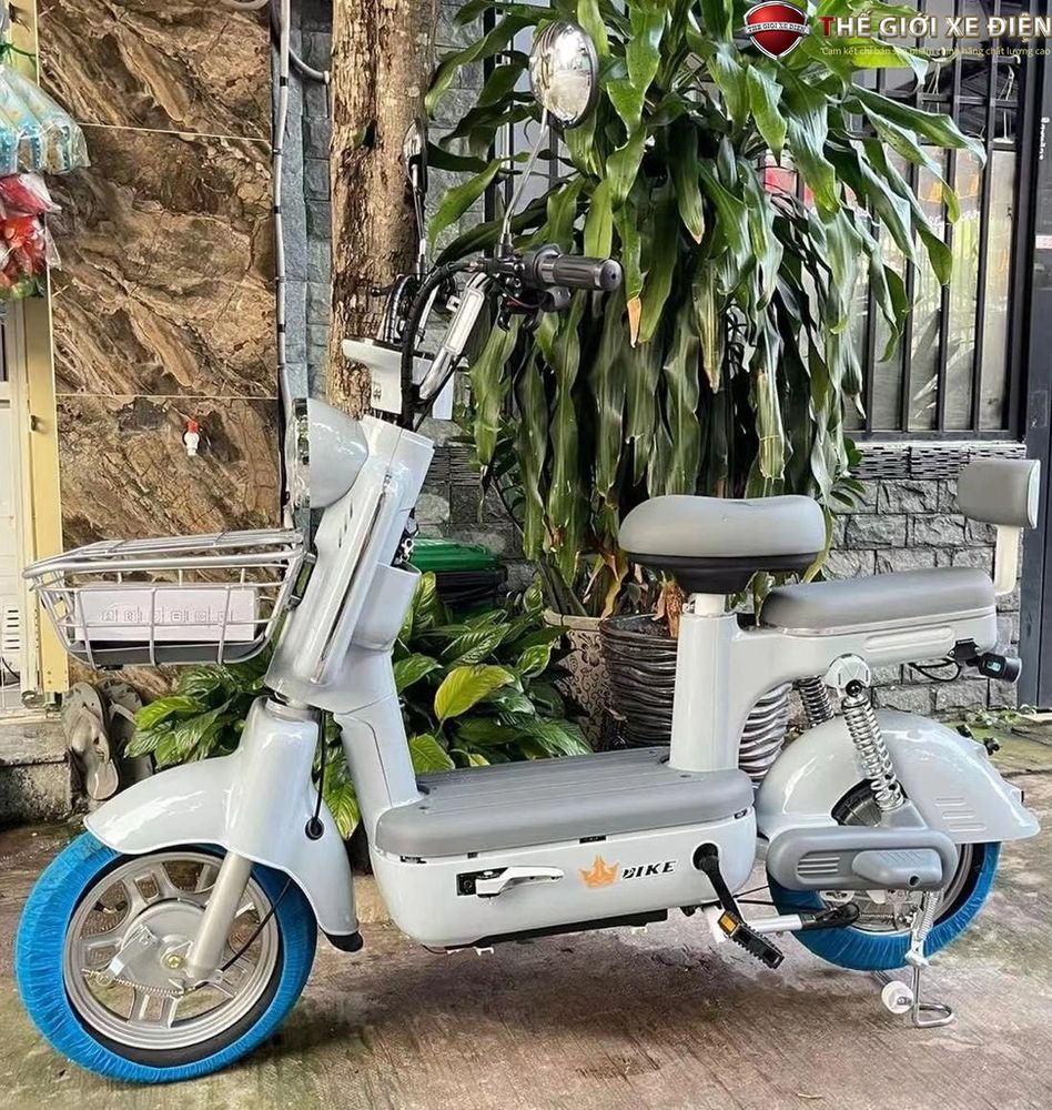 Biện pháp xử lý lỗi khi pin sạc đầy nhưng xe lại nhanh hết pin - Người đi xe điện cần nắm
